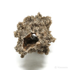 Fulgurite from North Africa | Venusrox