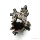 Fulgurite from North Africa | Venusrox