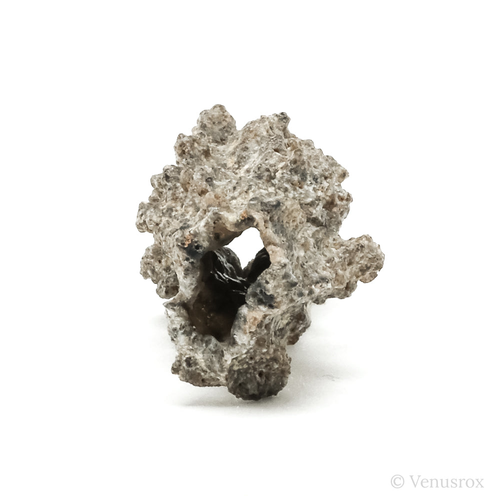 Fulgurite from North Africa | Venusrox