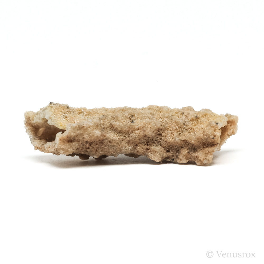 Fulgurite from North Africa | Venusrox