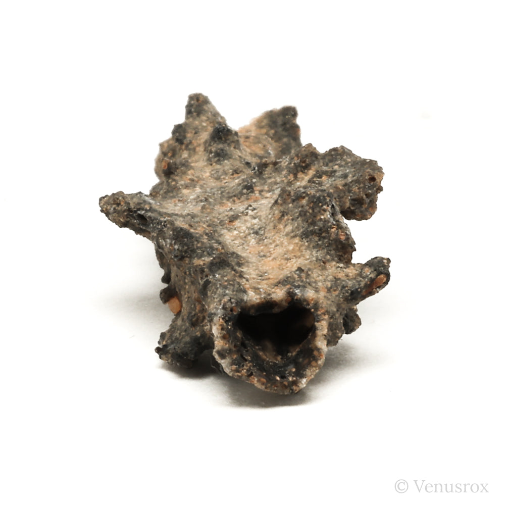 Fulgurite from North Africa | Venusrox