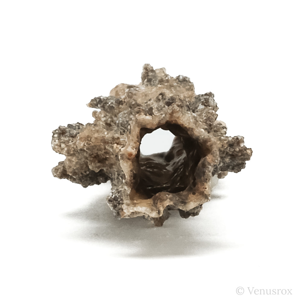 Fulgurite from North Africa | Venusrox