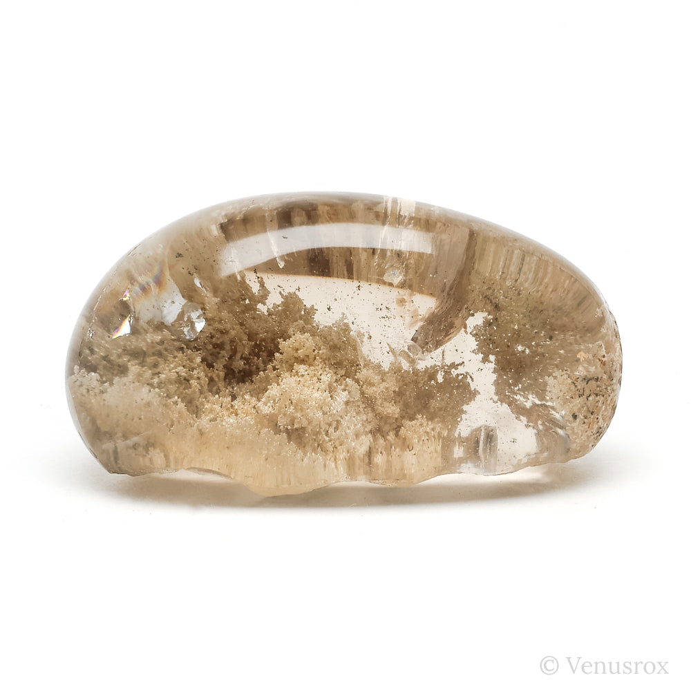 Lodalite Quartz Part Polished/Part Natural Crystal from Brazil | Venusrox