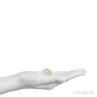 Clear Quartz with Dumortierite Part Polished/Part Natural Crystal from Brazil | Venusrox