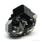 Black Tourmaline with Smoky Quartz Natural Cluster from Rondekop, Erongo Mountains, Karibib District, Erongo Region, Namibia | Venusrox
