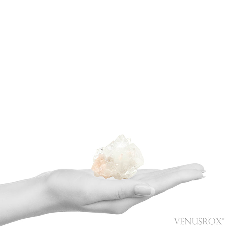 Apophyllite with Stilbite Natural Cluster from Maharashtra, India | Venusrox