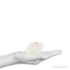 Apophyllite with Stilbite Natural Cluster from Maharashtra, India | Venusrox