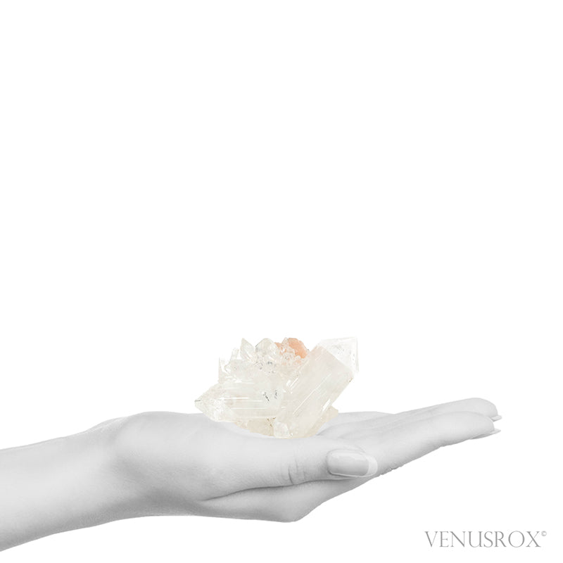 Apophyllite with Stilbite Natural Cluster from Maharashtra, India | Venusrox