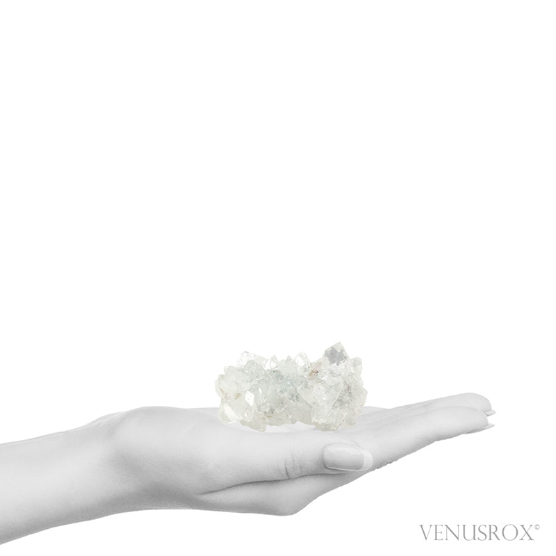 Apophyllite Natural Cluster from Maharashtra, India | Venusrox