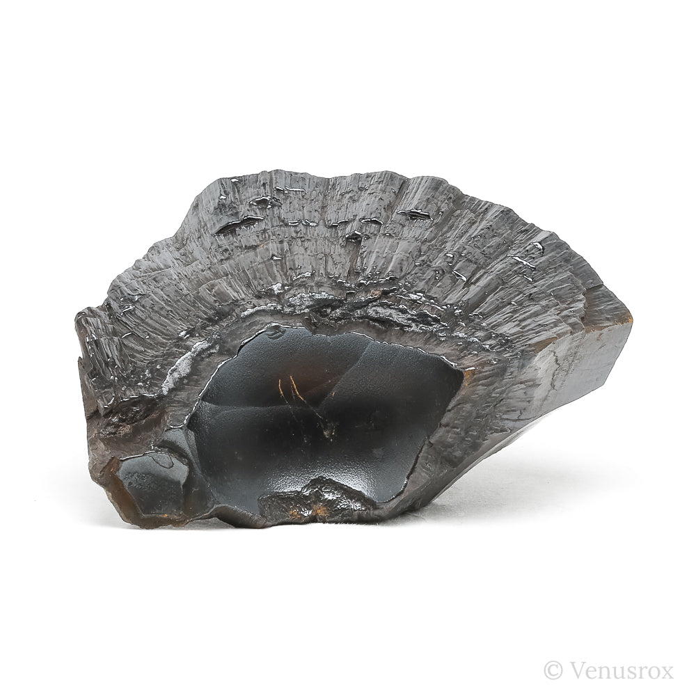 Hematite 'Pencil Ore' Natural Crystal from Mefis, Taouz, Er Rachidia Province, Draa-Tafilalet Region, Morocco | Venusrox