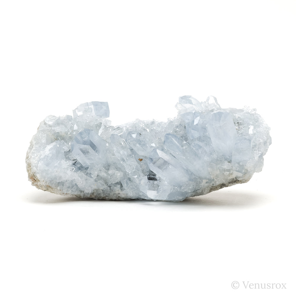 Blue Celestite Natural Cluster from Madagascar | Venusrox