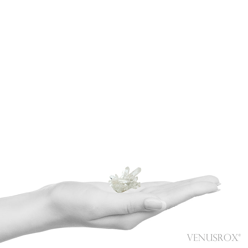 Himalayan Chlorite Quartz Natural Cluster from the Indian Himalayas | Venusrox