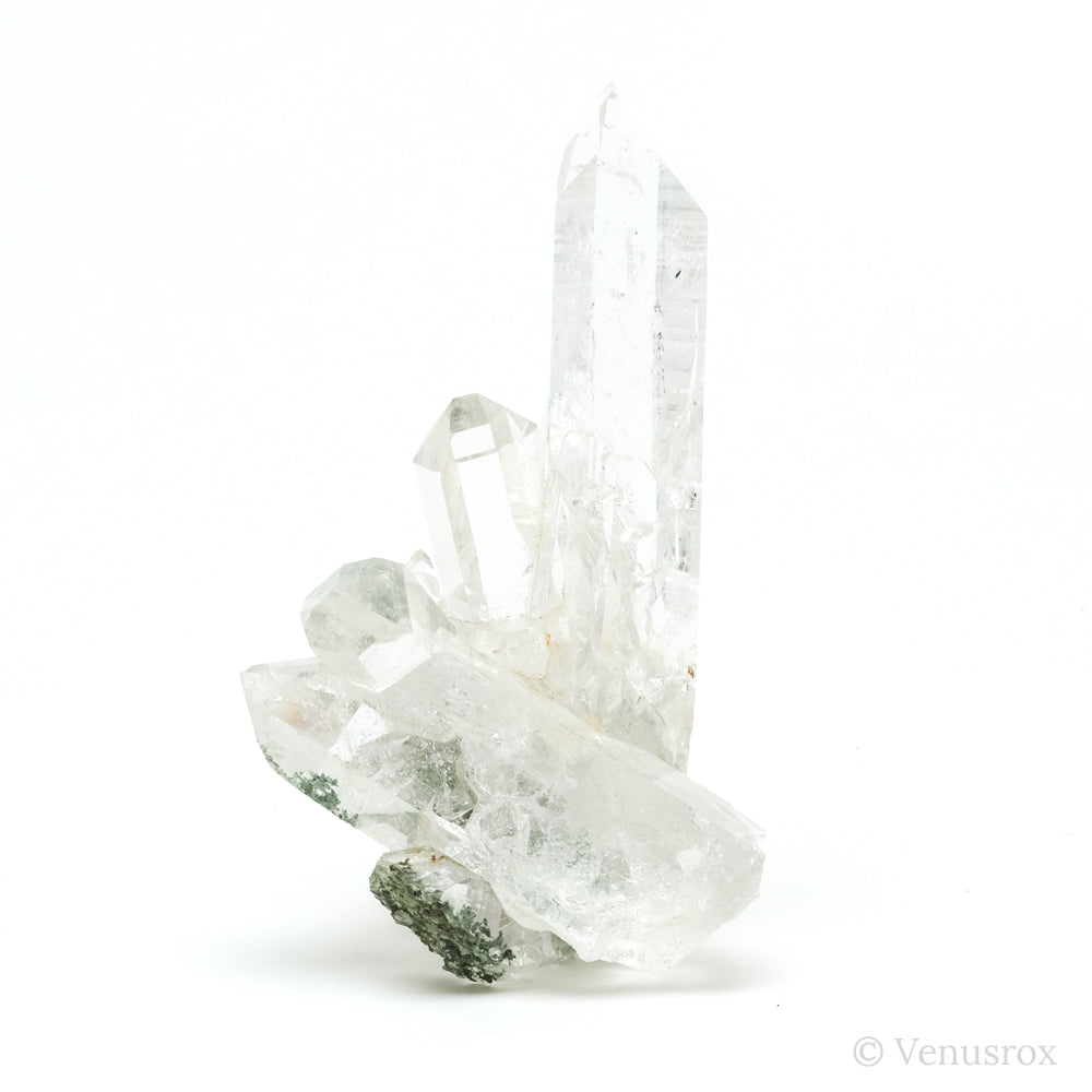 Himalayan Chlorite Quartz Natural Cluster from the Indian Himalayas | Venusrox