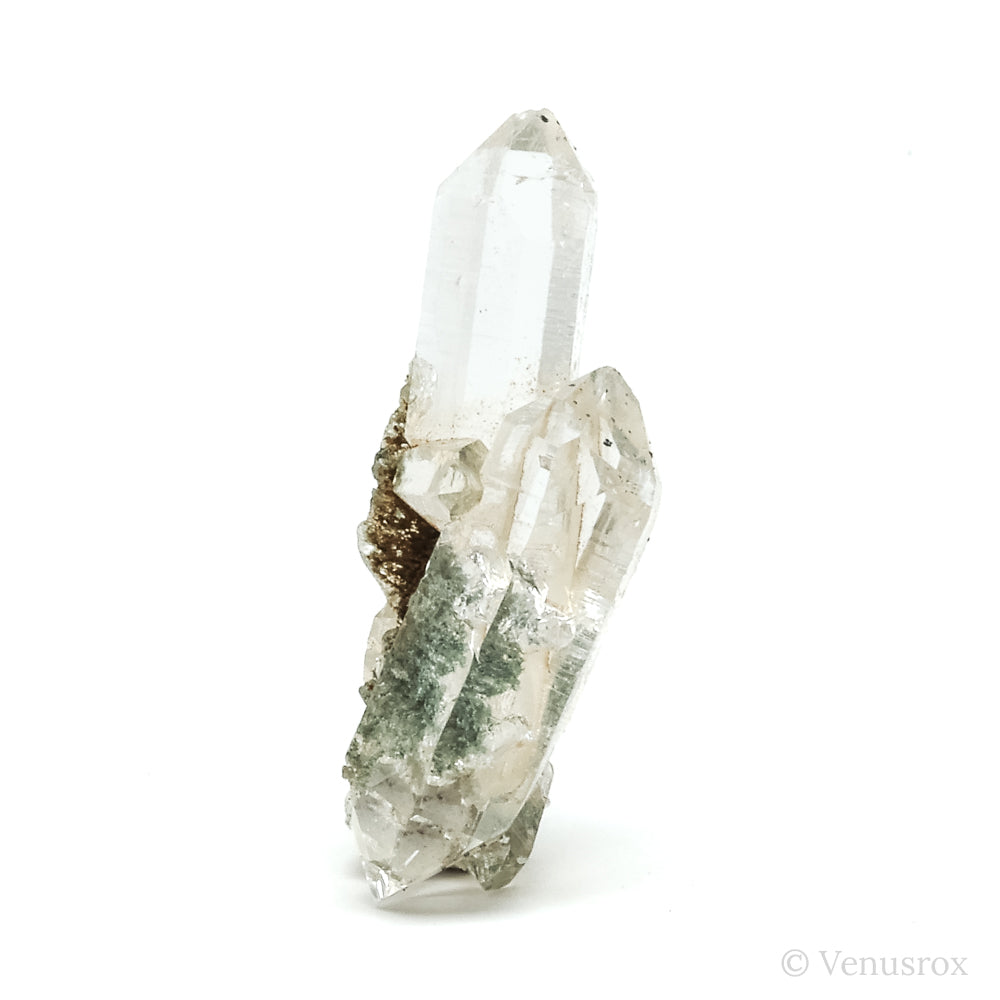 Himalayan Chlorite Quartz with Anatase Natural Cluster from the Indian Himalayas | Venusrox