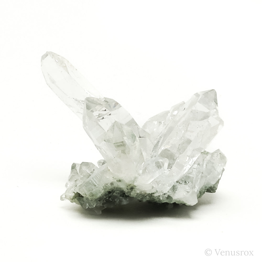 Himalayan Chlorite Quartz Natural Cluster from the Indian Himalayas | Venusrox