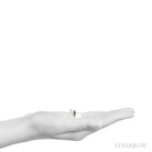 Himalayan Chlorite Quartz Natural Cluster from the Indian Himalayas | Venusrox