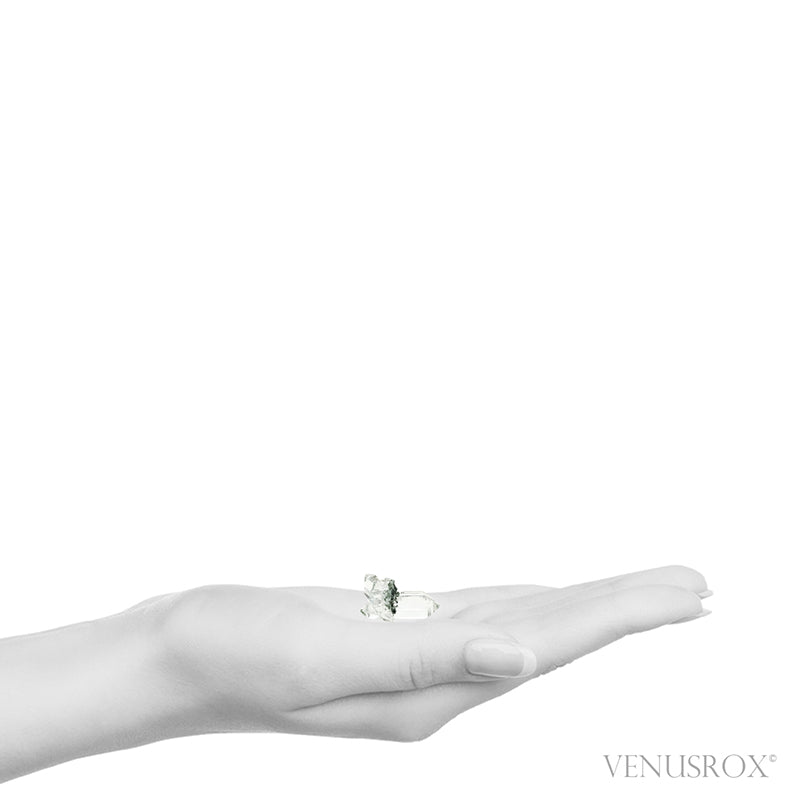 Himalayan Chlorite Quartz Natural Cluster from the Indian Himalayas | Venusrox