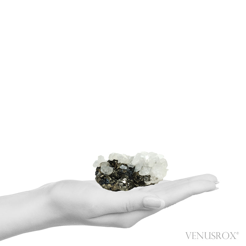 Calcite on Pyrite & Sphalerite Natural Cluster from the Trepča Mining Complex, Trepča Valley, Kosovska Mitrovica, Kosovska Mitrovica District, Kosovo | Venusrox