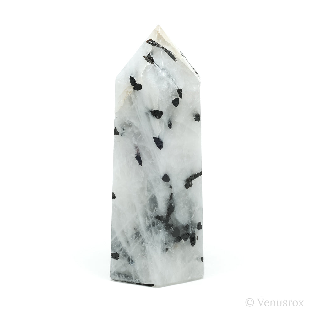 Tourmalinated Quartz Polished Point from Brazil | Venusrox