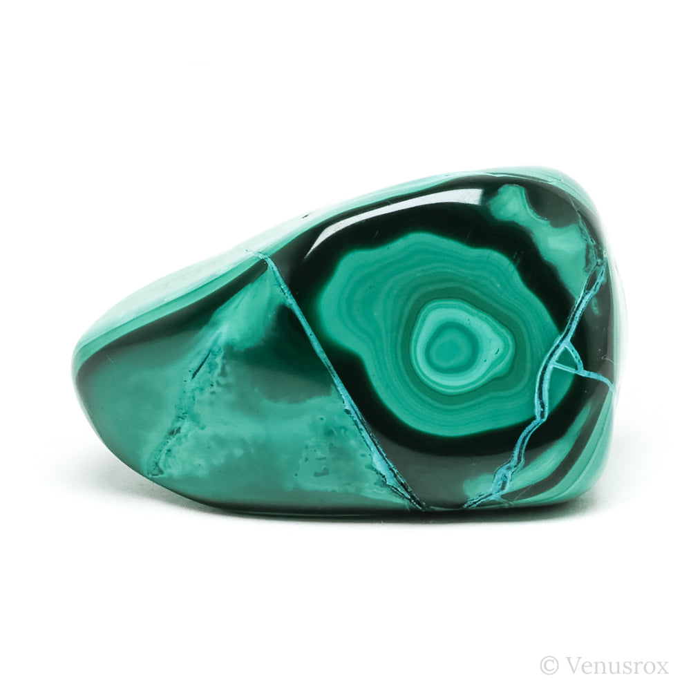 Malachite with Chrysocolla Polished Crystal from the Democratic Republic of Congo | Venusrox