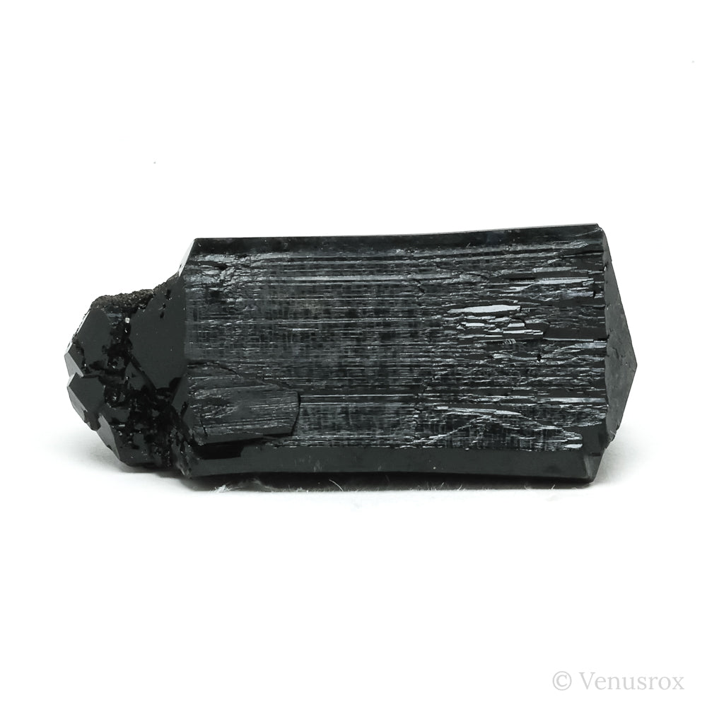 Black Tourmaline Natural Crystal from the Erongo Mountains, Namibia | Venusrox