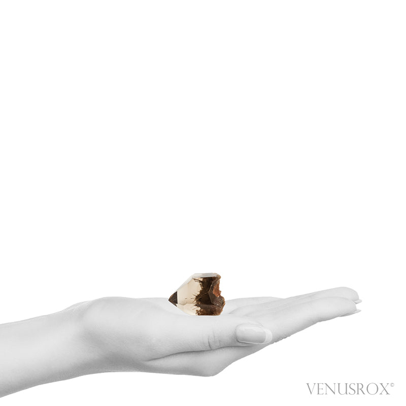 Smoky Rutilated Lodalite Quartz Polished/Natural Point | Venusrox