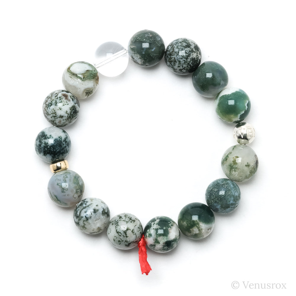 Tigers Eye with Falcons Eye Bracelet from South Africa | Venusrox