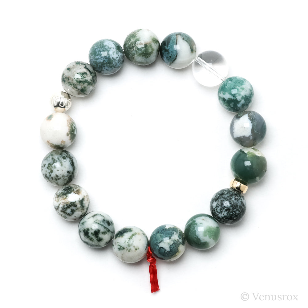 Tigers Eye with Falcons Eye Bracelet from South Africa | Venusrox