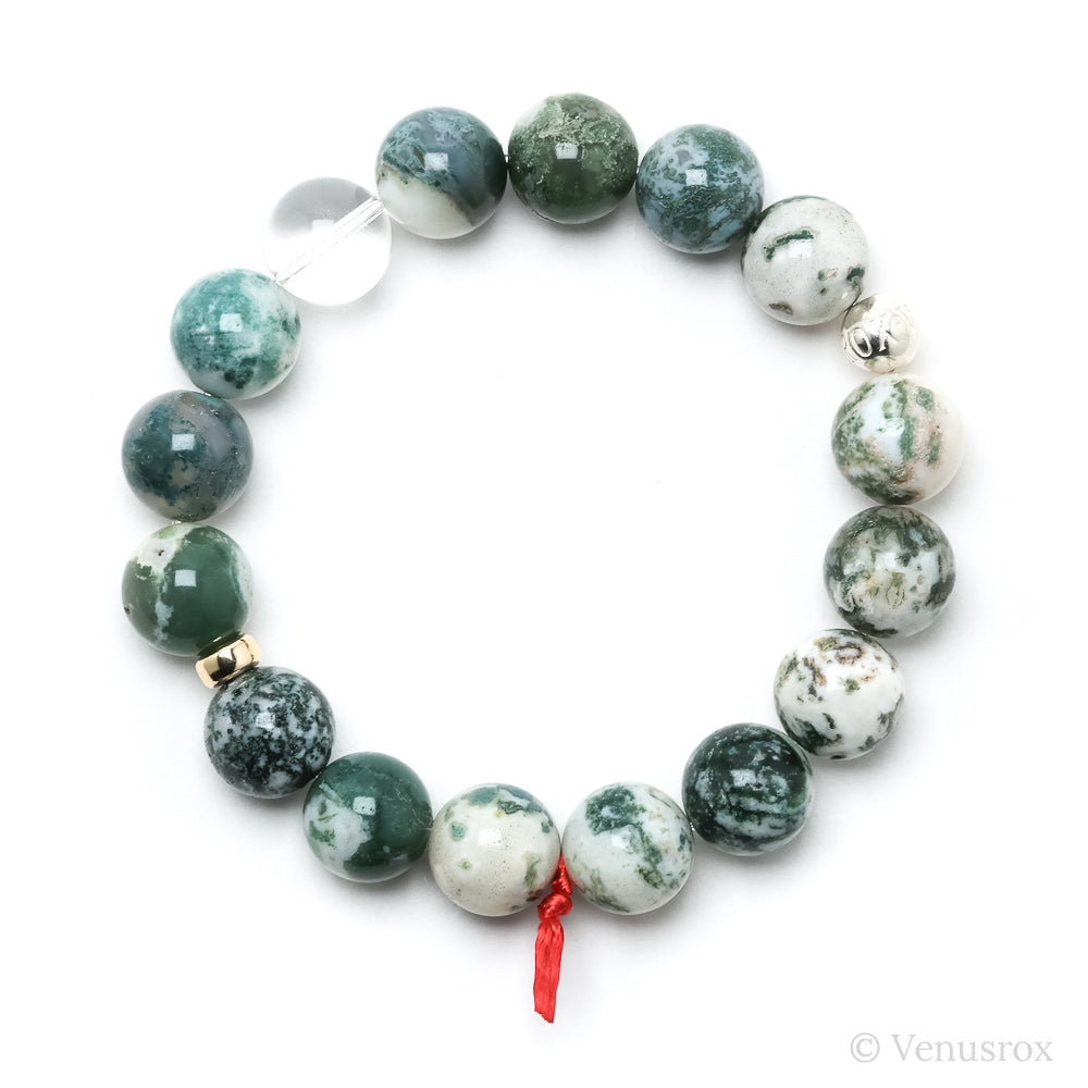 Tigers Eye with Falcons Eye Bracelet from South Africa | Venusrox