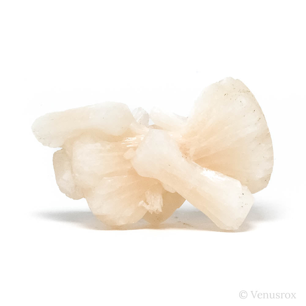 Stilbite Natural Cluster from Jalgaon, Maharashtra, India | Venusrox