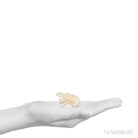 Stilbite Natural 'Bow-tie' from Pune District, Maharashtra, India | Venusrox