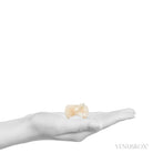 Stilbite Natural 'Bow-tie' from Pune District, Maharashtra, India | Venusrox