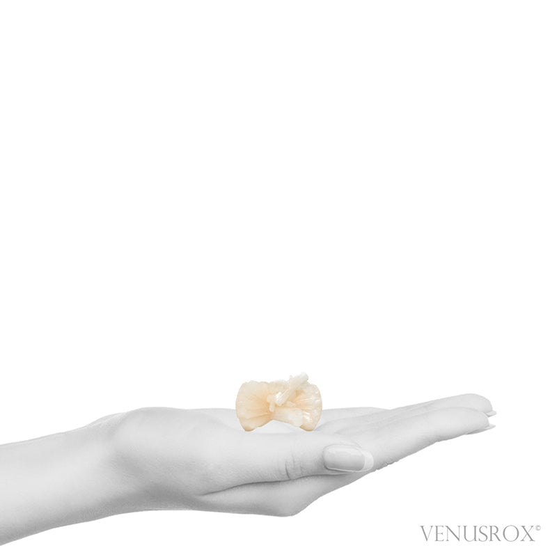 Stilbite Natural 'Bow-tie' from Pune District, Maharashtra, India | Venusrox