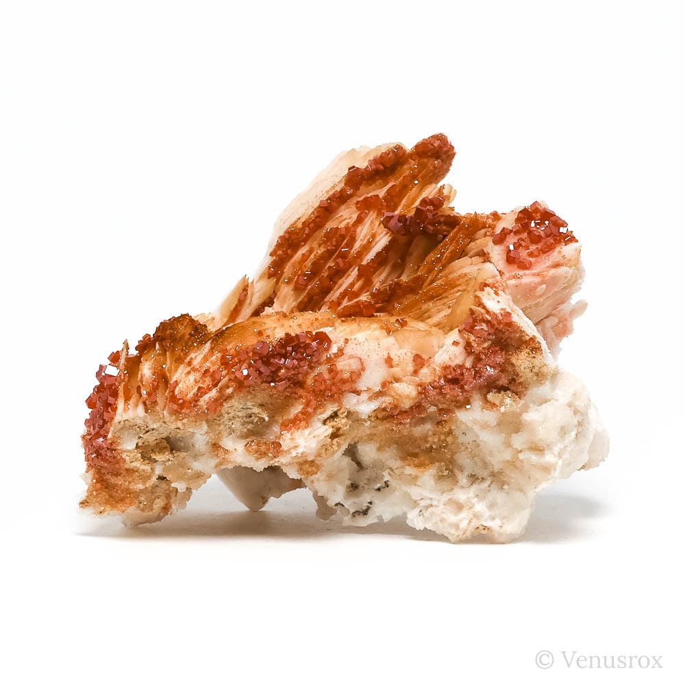 Vanadinite on Barite Natural Specimen from Mibladen, Midelt, Meknes-Tafilalet Region, Morocco | Venusrox
