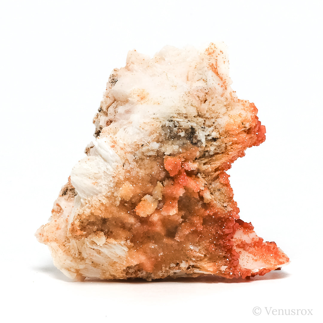 Vanadinite on Barite Natural Specimen from Mibladen, Midelt, Meknes-Tafilalet Region, Morocco | Venusrox