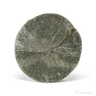 Pyrite Sun from Sparta, Randolph Co., Illinois, USA | Venusrox