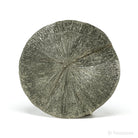 Pyrite Sun from Sparta, Randolph Co., Illinois, USA | Venusrox