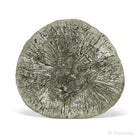 Pyrite Sun from Sparta, Randolph Co., Illinois, USA | Venusrox
