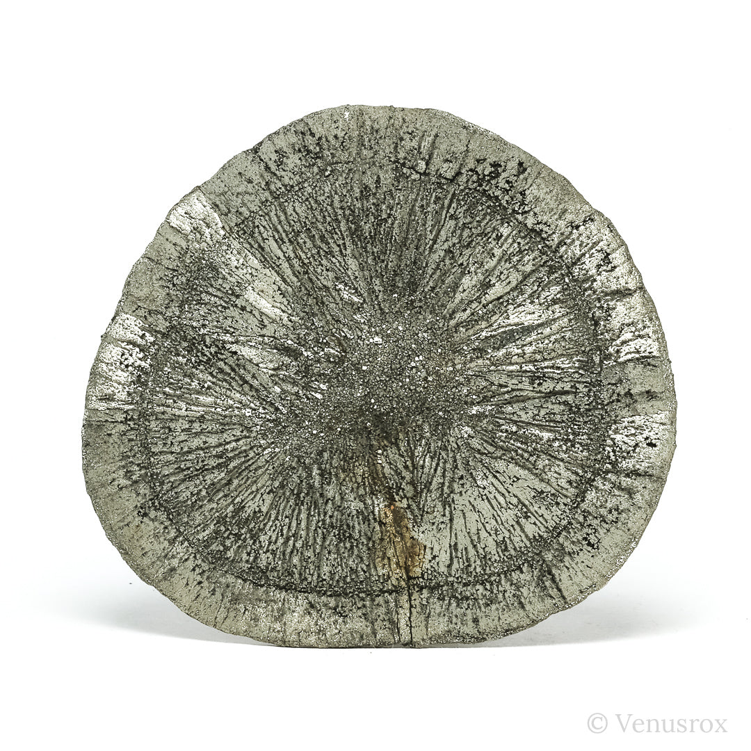 Pyrite Sun from Sparta, Randolph Co., Illinois, USA | Venusrox