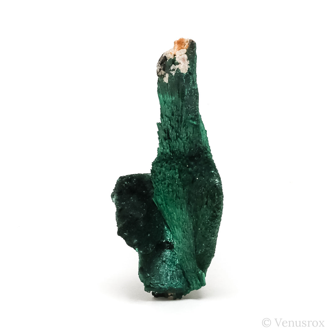 Fibrous Malachite with Matrix Natural Crystal from Kerrouchene, Khenifra Province, Meknes-Tafilalet Region, Morocco, Africa | Venusrox