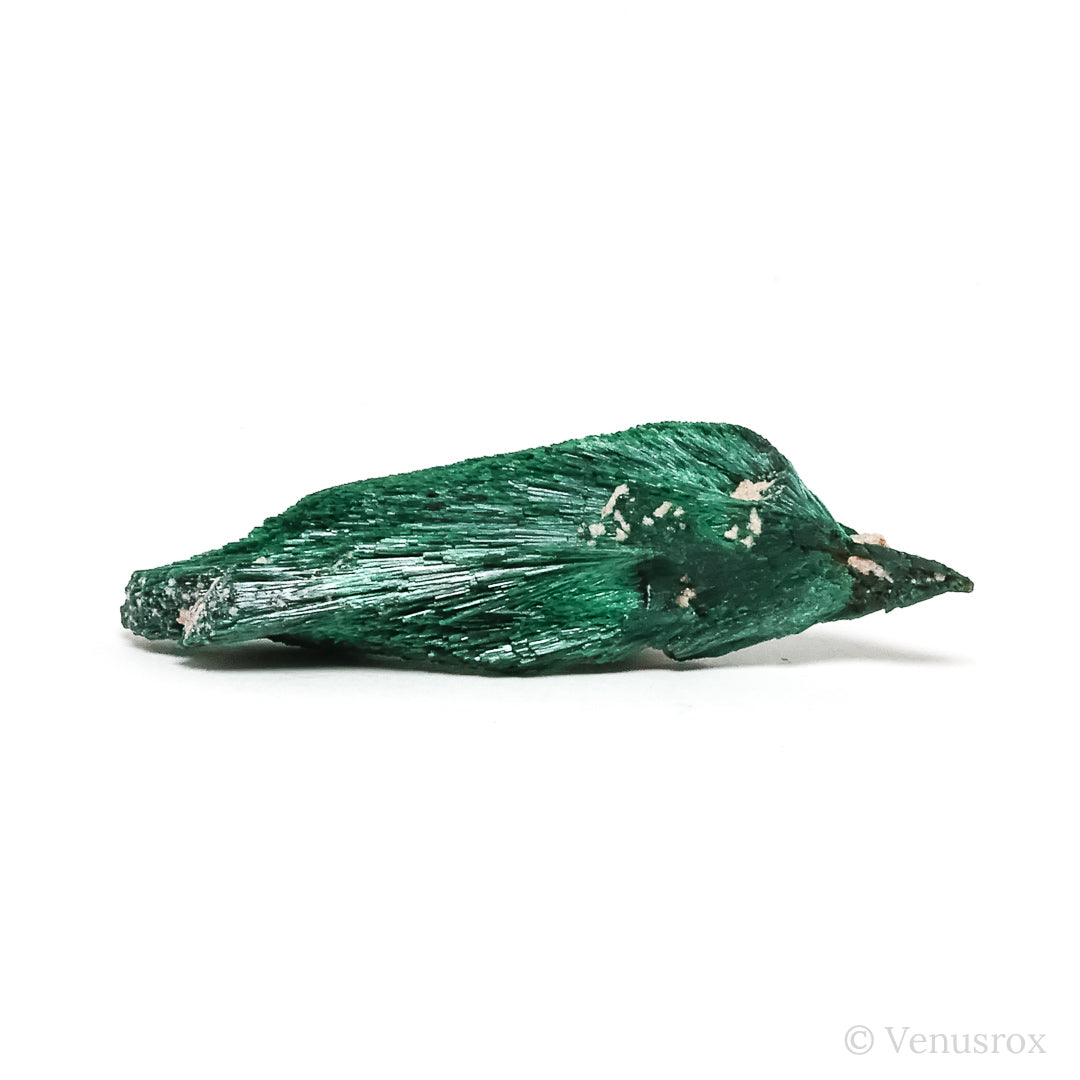 Fibrous Malachite with Matrix Natural Crystal from Kerrouchene, Khenifra Province, Meknes-Tafilalet Region, Morocco, Africa | Venusrox