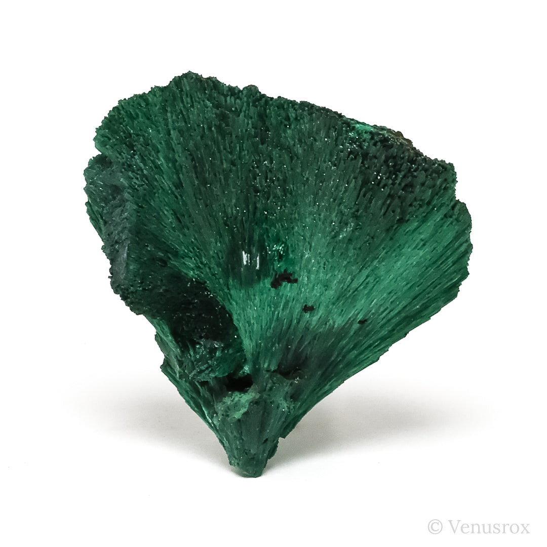 Fibrous Malachite with Matrix Natural Crystal from Kerrouchene, Khenifra Province, Meknes-Tafilalet Region, Morocco, Africa | Venusrox