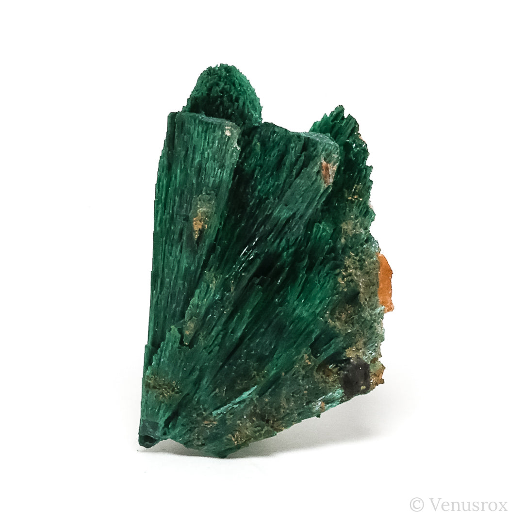 Fibrous Malachite with Matrix Natural Crystal from Kerrouchene, Khenifra Province, Meknes-Tafilalet Region, Morocco, Africa | Venusrox