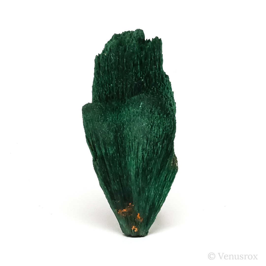 Fibrous Malachite with Matrix Natural Crystal from Kerrouchene, Khenifra Province, Meknes-Tafilalet Region, Morocco, Africa | Venusrox