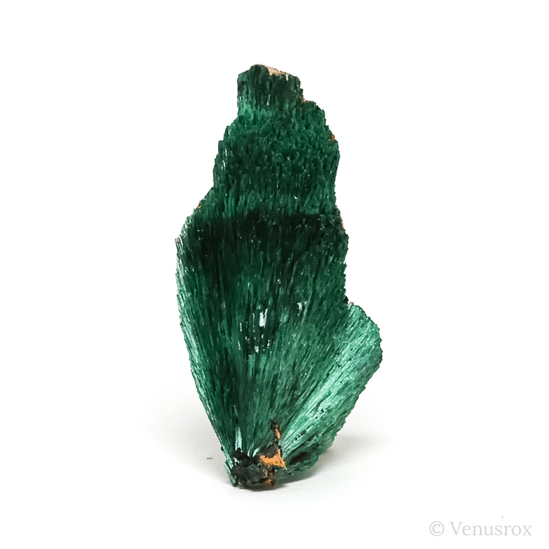 Fibrous Malachite with Matrix Natural Crystal from Kerrouchene, Khenifra Province, Meknes-Tafilalet Region, Morocco, Africa | Venusrox