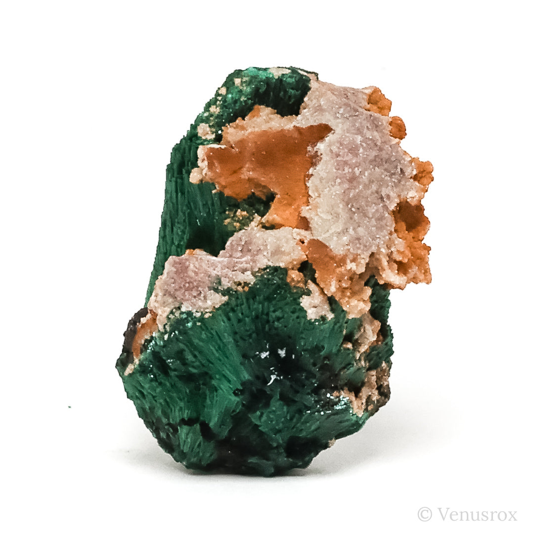 Fibrous Malachite with Matrix Natural Crystal from Kerrouchene, Khenifra Province, Meknes-Tafilalet Region, Morocco, Africa | Venusrox