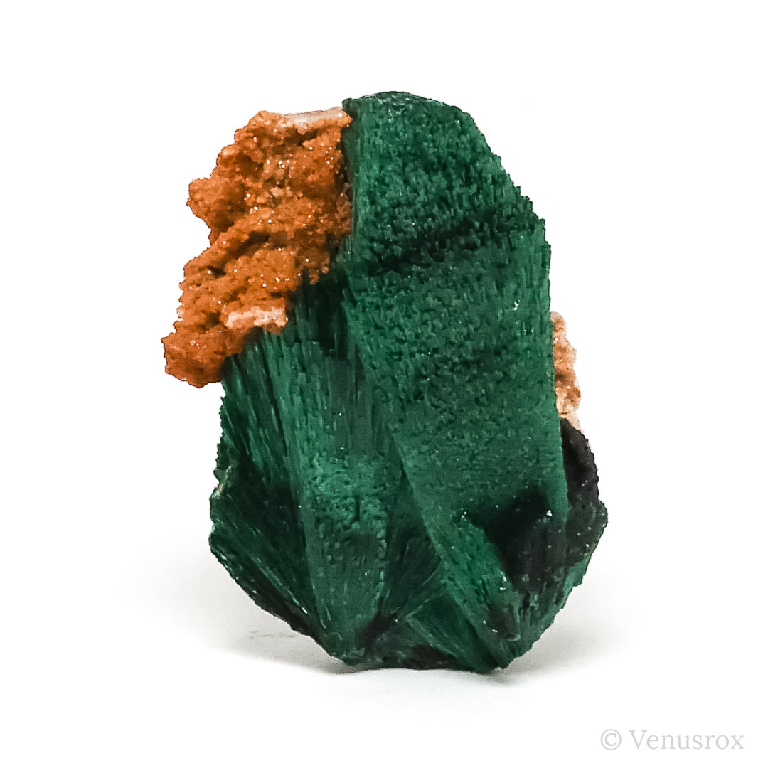Fibrous Malachite with Matrix Natural Crystal from Kerrouchene, Khenifra Province, Meknes-Tafilalet Region, Morocco, Africa | Venusrox