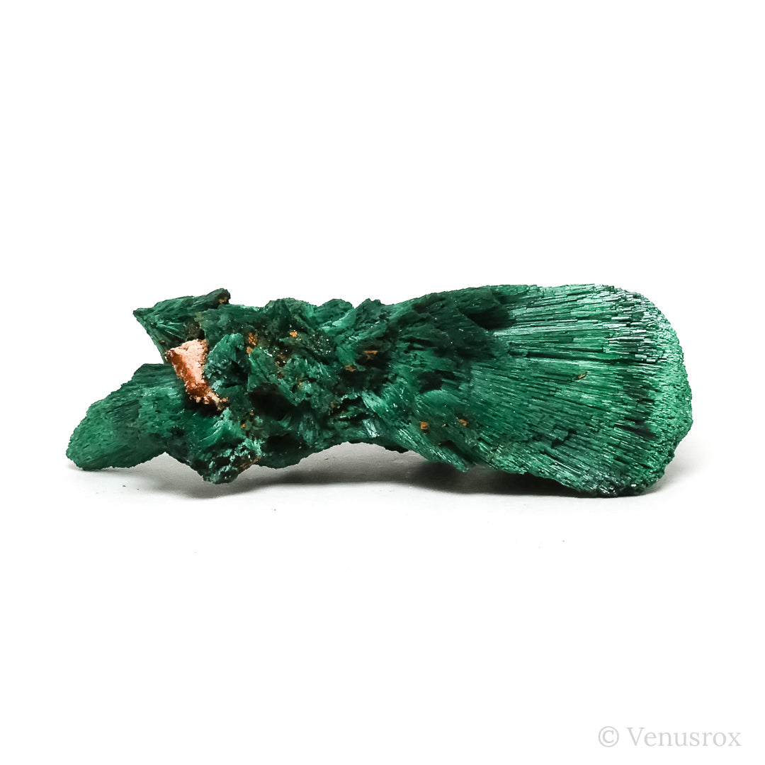 Fibrous Malachite with Matrix Natural Crystal from Kerrouchene, Khenifra Province, Meknes-Tafilalet Region, Morocco, Africa | Venusrox
