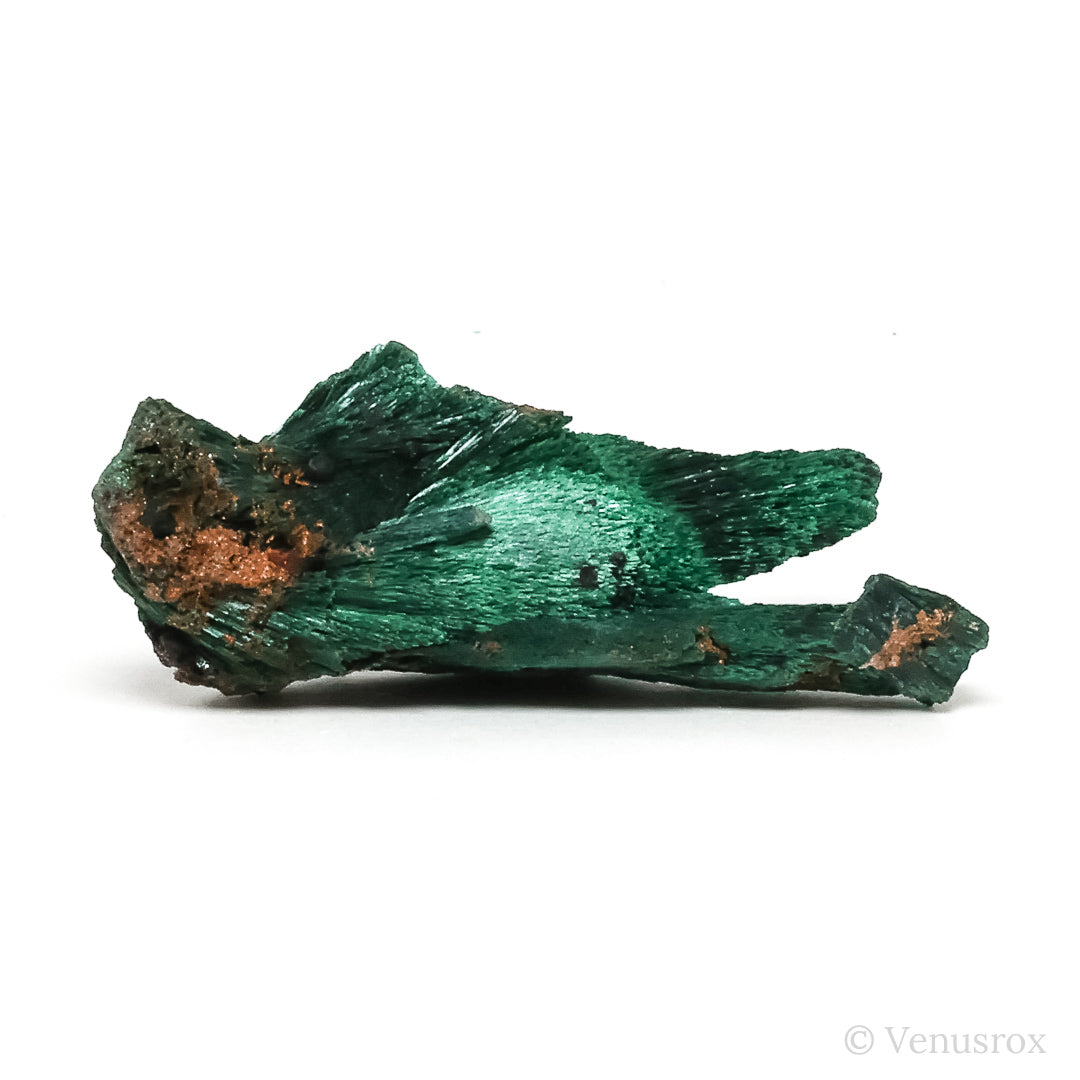 Fibrous Malachite with Matrix Natural Crystal from Kerrouchene, Khenifra Province, Meknes-Tafilalet Region, Morocco, Africa | Venusrox