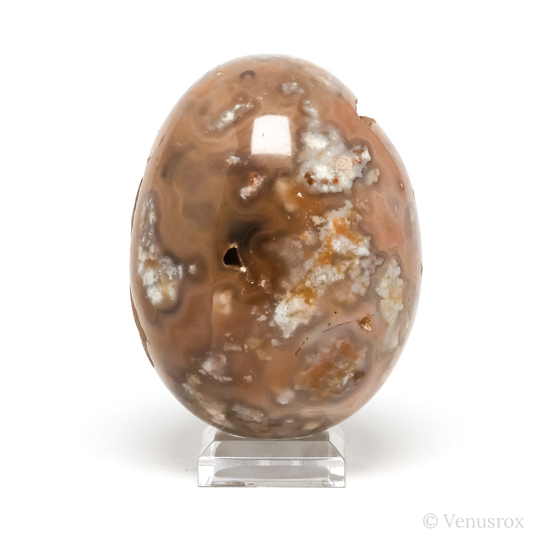 Agate Geode Egg from Brazil | Venusrox